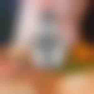 Blender multifuncțional pentru bucătărie | MULTIMINCER