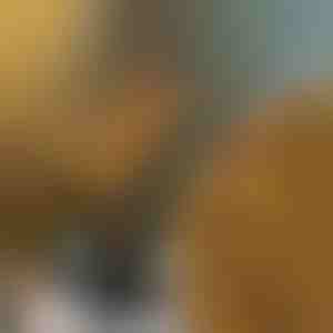 Crengi cu lumini LED | BRANCHLUMOS