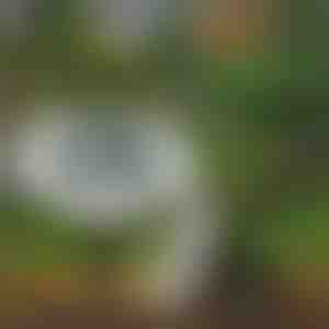 Lămpi solare pentru sol pentru exterior (3 buc.) | LUMIGARD