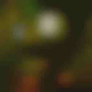 Lămpi solare pentru alee (6 bucăți) | LUMITRAD