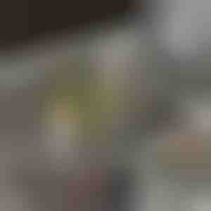 Coș de scurgere care filtrează și depozitează ușor | EVOSINK