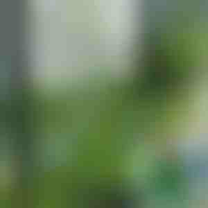 Plăci din iarbă artificială pentru decor (5 bucăți) | GRASSTILE