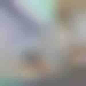 Folie decorativă și de protecție a intimității pentru geamuri | PRISMWRAP