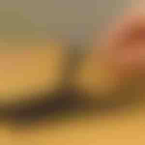 Set extractor pentru șuruburi, 10 piese | SCREWX