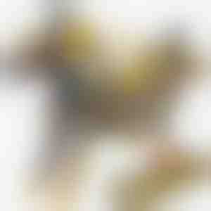 Jucărie magnetică mașină-dinozaur | ROARWHEEL