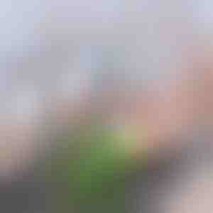 Filtru avansat cu carbon pentru robinet | CHARFILTER