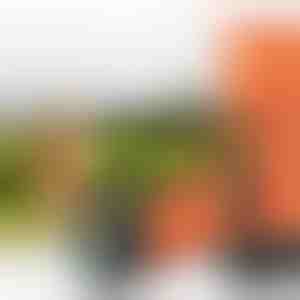 Dispozitiv ultrasonic pentru dresajul animalelor de companie | WOOFSTOP