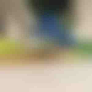 Curățător electric de fructe și legume | PEELMATIC