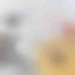 Perie flexibilă pentru scurgeri și țevi înfundate | DRAINOVA