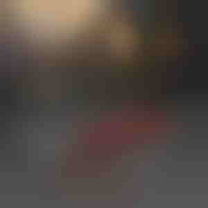 Instrument pentru demontarea terminalelor auto | SEPACON