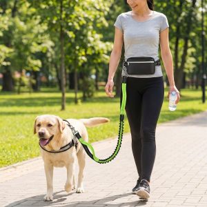 Lesă de alergare pentru câini, purtabilă | DOGZIP