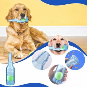 Gata cu distrugerile din plictiseală - Minge trosnitoare | PUPTENN